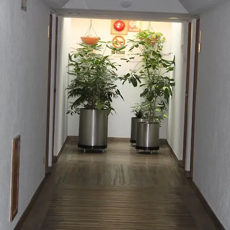 Hotel del Sur-2